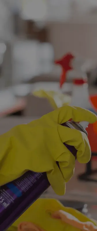 Cleaners Available in Quincy